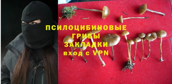 мет Алексин