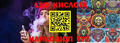 дмт Кимры