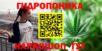 дмт Кимры