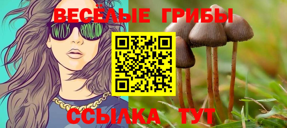 Глазов  Галлюциногенные грибы Cubensis  Вход с VPN 