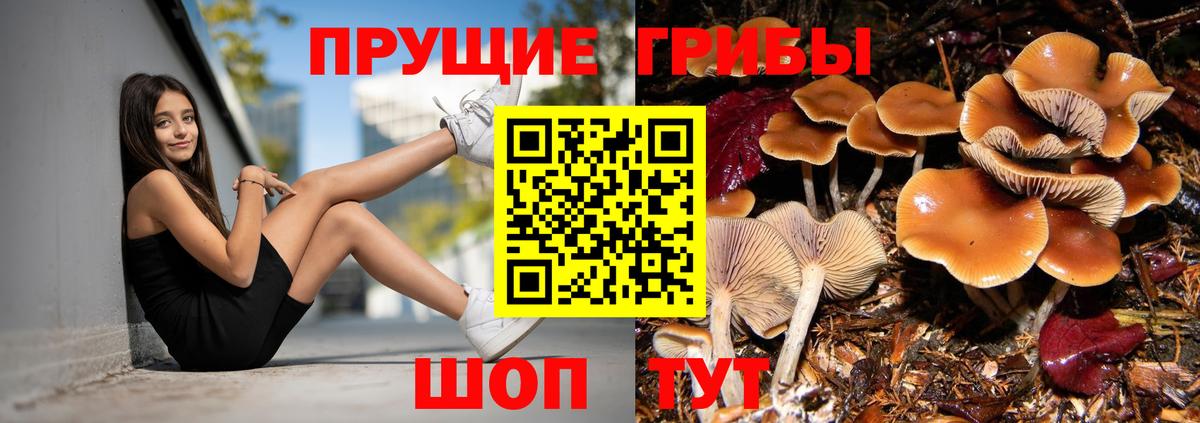 Alpha PVP  Мефедрон  Марихуана  Cocaine  Вход с VPN  Купить наркотик  Глазов  ГАШ 